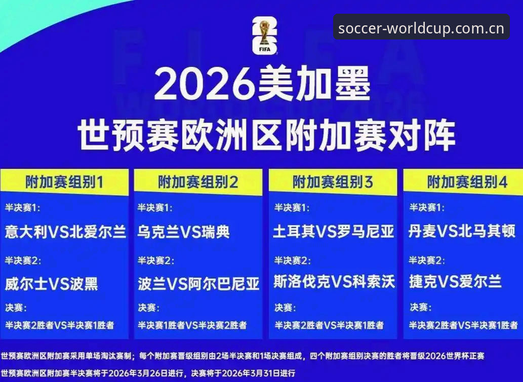 2026世界杯观赛体验深度评测：签证危机与全球球迷的困境